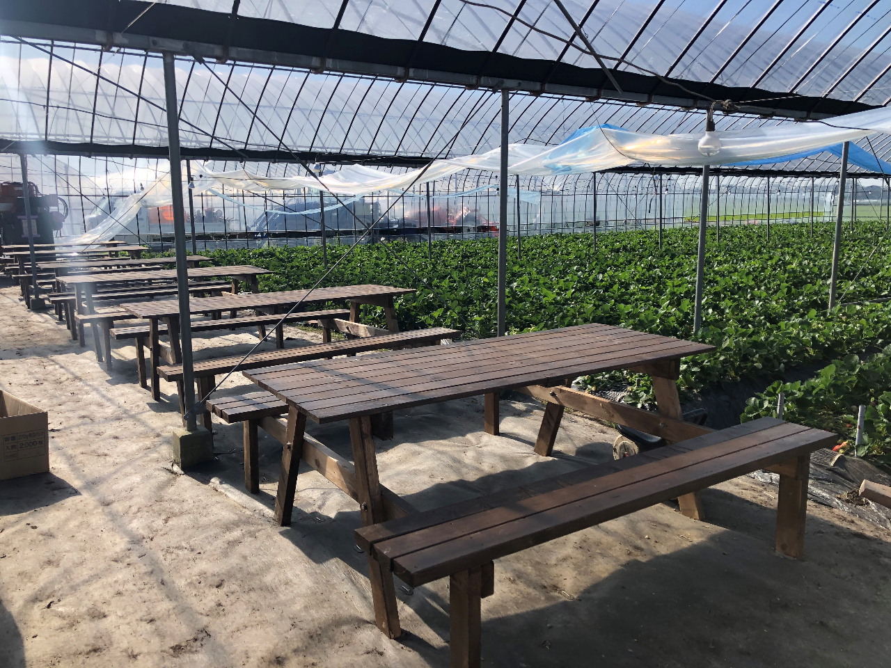 ���܂�����p�n�E�X35���I�ʐϓ��{��