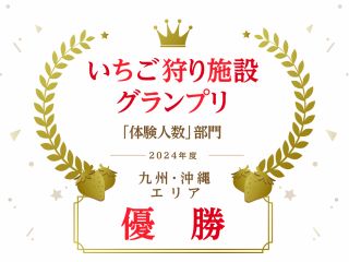 味や減農薬のこだわりが評価されて2019・2020・2021・2022年度・2024年度 じゃらん九州人気いちご狩り施設グランプリ優勝!