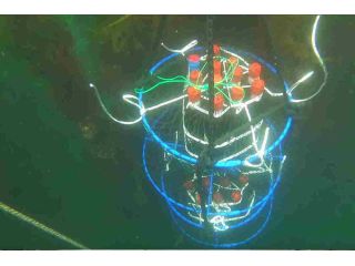 広田湾の海で約10ヶ月間熟成させると味がまろやかかつ旨味が増します。