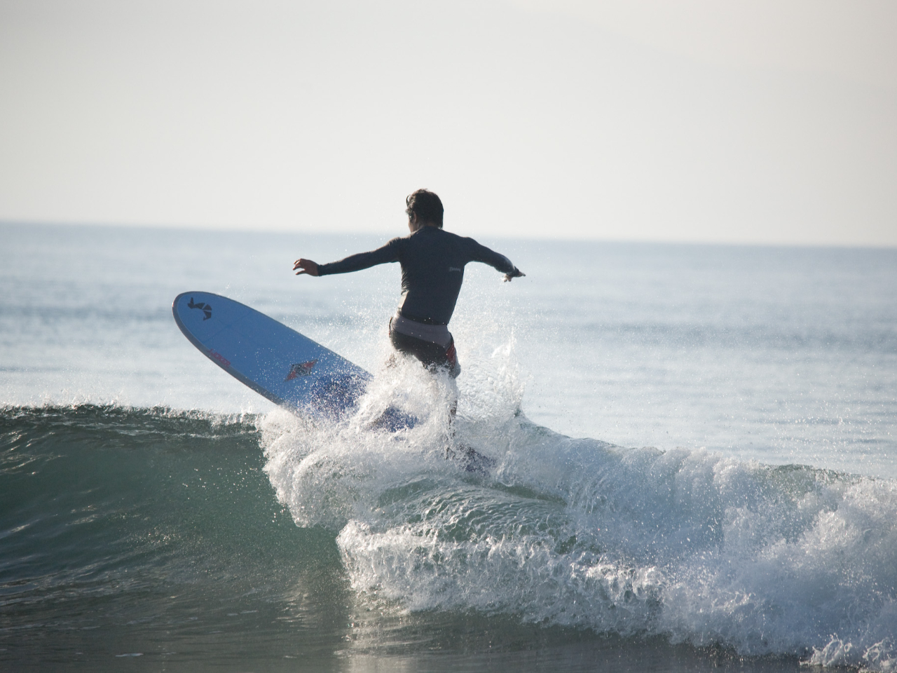 SSY͇@T[tBA{fB[{[hBr[`KCSUPKDj[T[tBET[tgbvF[NVbvGBeHANZT[IXN[utCxȂ