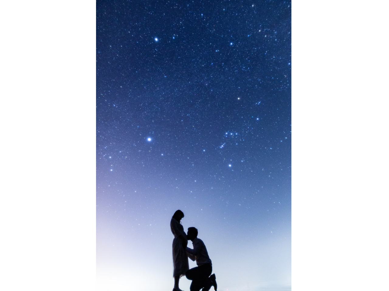 冬のツアーではオリオン座が綺麗に写ります。