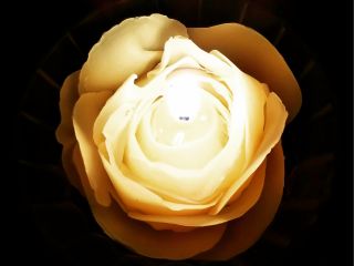 薔薇とたまごのキャンドル作り オホーツク音楽工房 じゃらん遊び体験 薔薇とたまごのキャンドル作り オホーツク音楽工房 じゃらん遊び体験