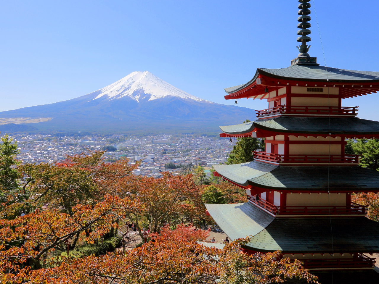 VqRԐ_Ђ̎ʐ^BxmRƕxmgcsA쓃ZbgɎBełiʐ^X|bgłBG߂ʐ^Be邱Ƃł܂B