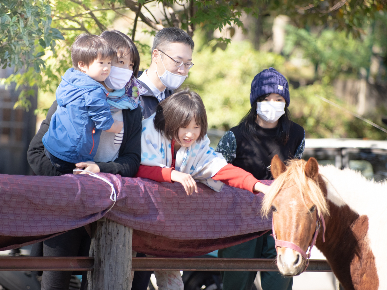 下宮浅間神社には馬がいます。この地域では昔から馬が馴染みのある動物で、荷物運びから食糧(馬刺しや馬肉、ホルモン煮等)として重宝されてきました。