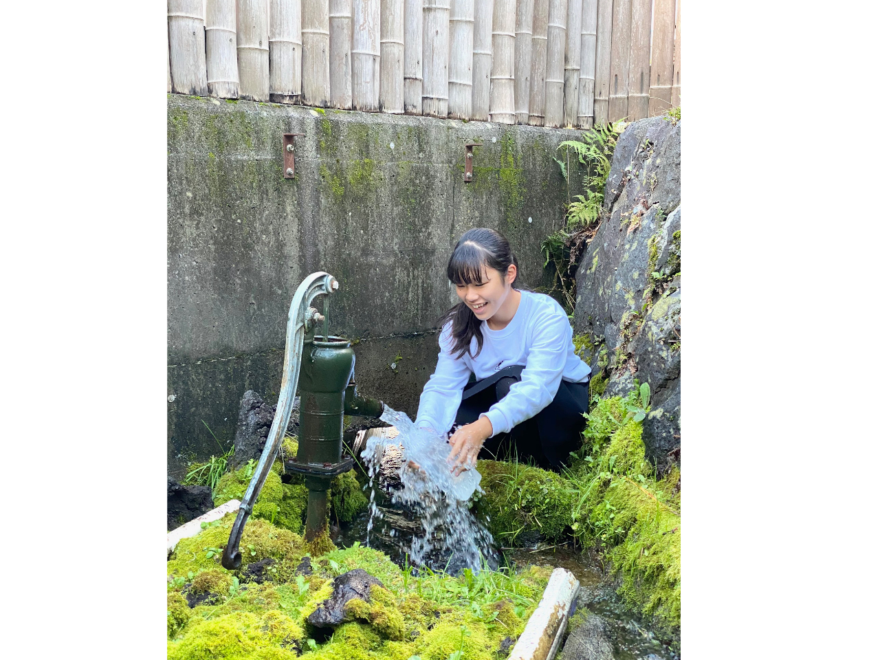 ƂĂ̐NオĂ܂BłłĂ܂BXł̂𕦂ēꂽ񋟂܂B