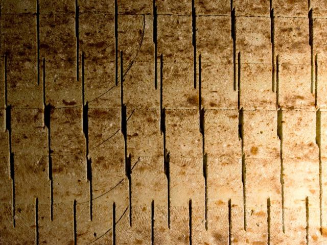 J΍̌@̗jlXȊpxWĂ鎑قŁA2018Nɓ{YɔFB