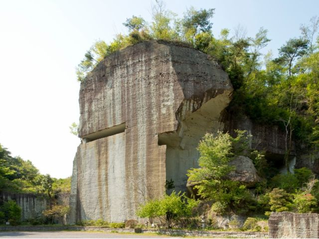 J΂́AȖ،Fs{sJt߈т̌@A⎿pIÊD̑́B