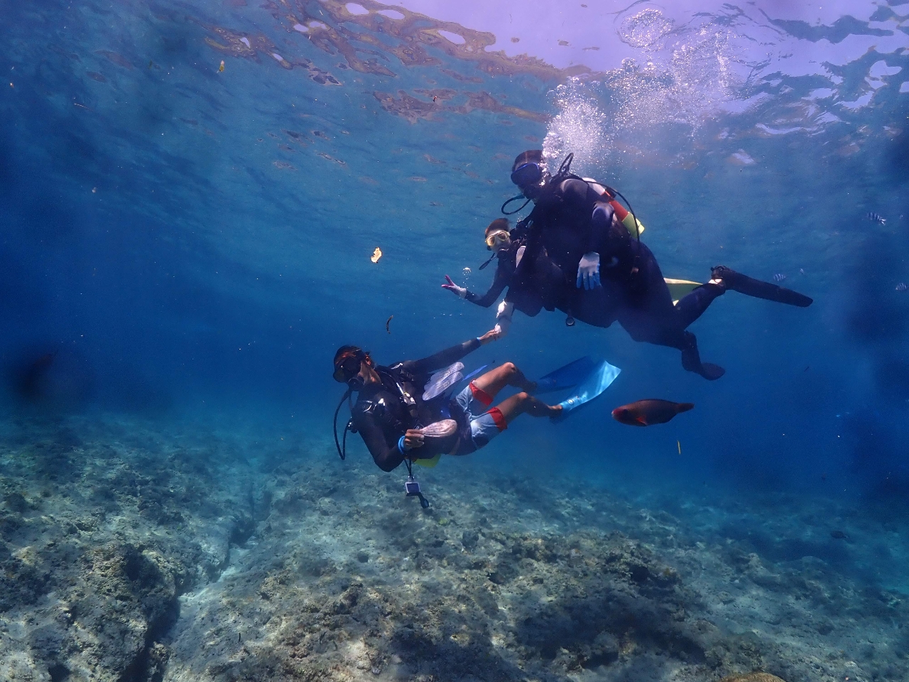 jȂĂvB蒚JɃ_CrOɂAꂵ܂