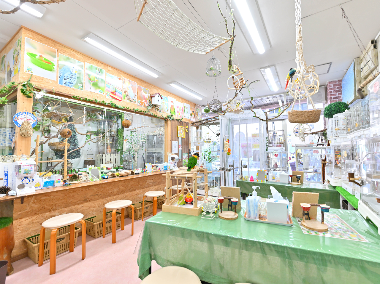 Xł͒ƂӂꂠÃKXz̏ŗVщĂ钹𒭂߂Ċy߂܂B