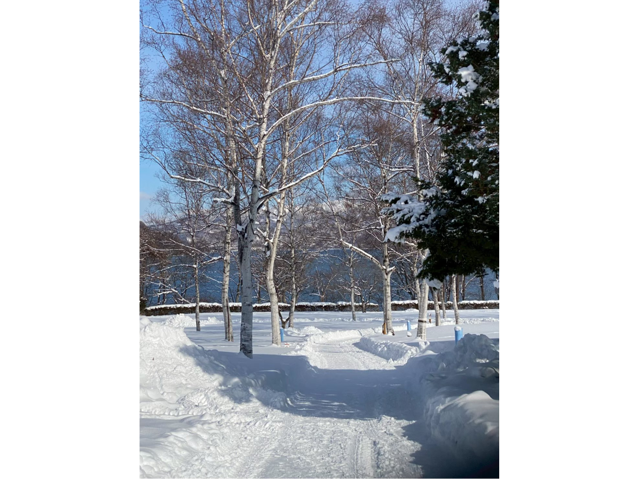 SNOW PARK TOYA�̎ʐ^2