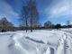 洞爺湖の森でふかふか新雪を歩く
