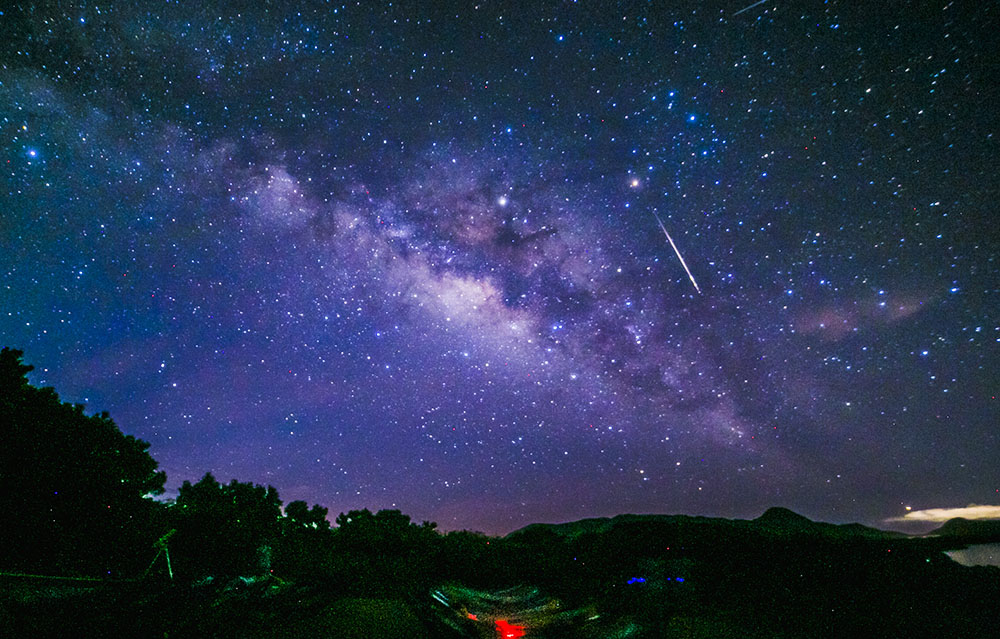 ͗ꐯقƂɑ񂾁I̗ꐯꂿႤI