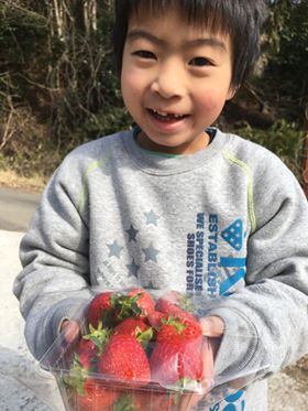 削除 大阪 能勢 パックに摘み取り量り売りプラン お弁当持ち込みok 土耕栽培で育てたこだわりのイチゴを摘み取り体験 ファミリー グループにおすすめ 吉村農園 じゃらん遊び体験