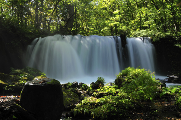 奥入瀬渓流満喫コース