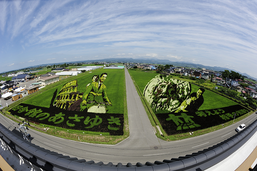田舎館・田んぼアート5時間コース