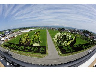 田舎館村 田んぼアート
