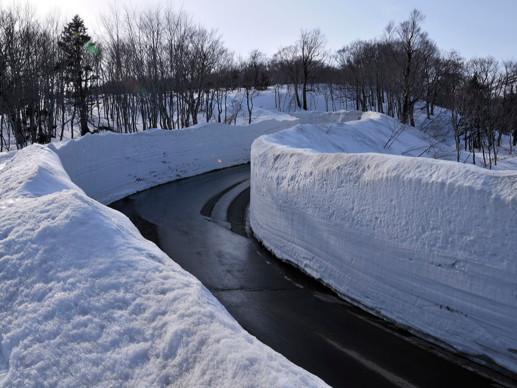 ���b�c ��̉�L