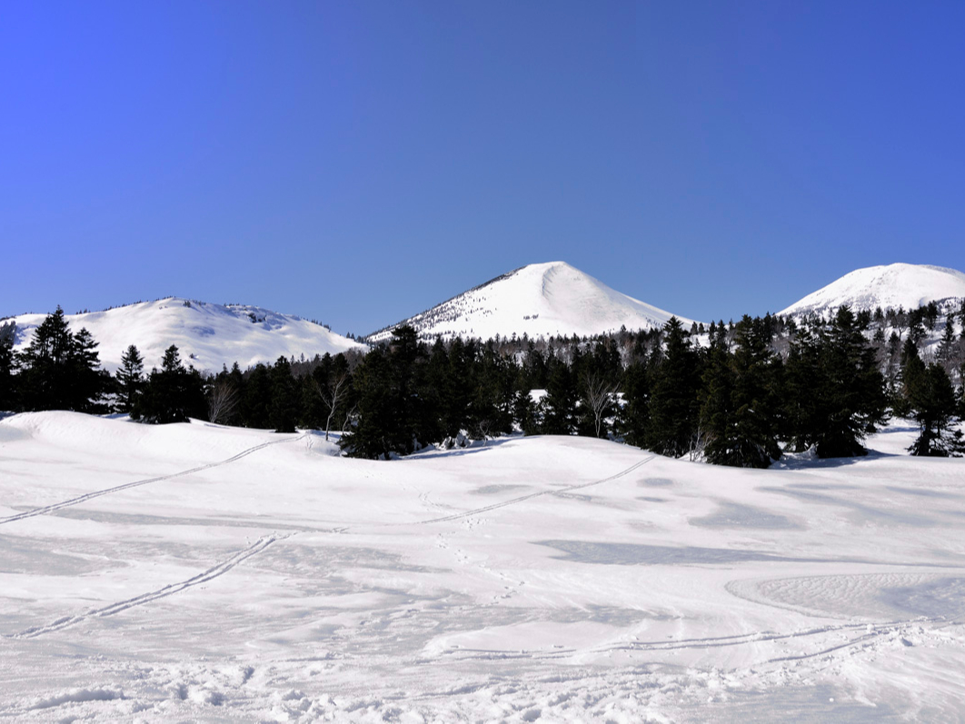 ���b�c�@��i�F