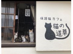 大阪南部 堺 岸和田 関西空港 の動物カフェランキングtop3 じゃらんnet 大阪南部 堺 岸和田 関西空港 の動物カフェランキングtop3 じゃらんnet