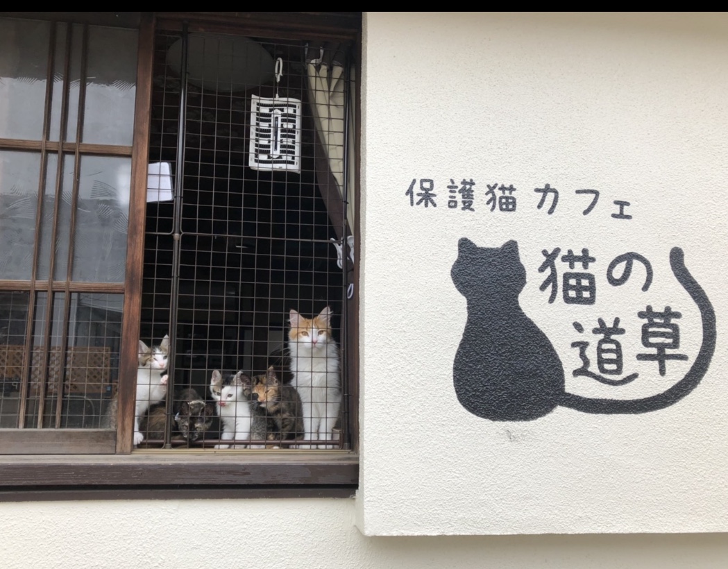 皆様のお越しをお待ちしております