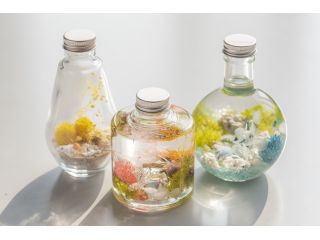 見島の貝を使った シェルハーバリウム体験 インテリアとして人気のオリジナルハーバリウム 1本 お持ち帰り 所要時間1時間 見島観光協会 じゃらん遊び体験