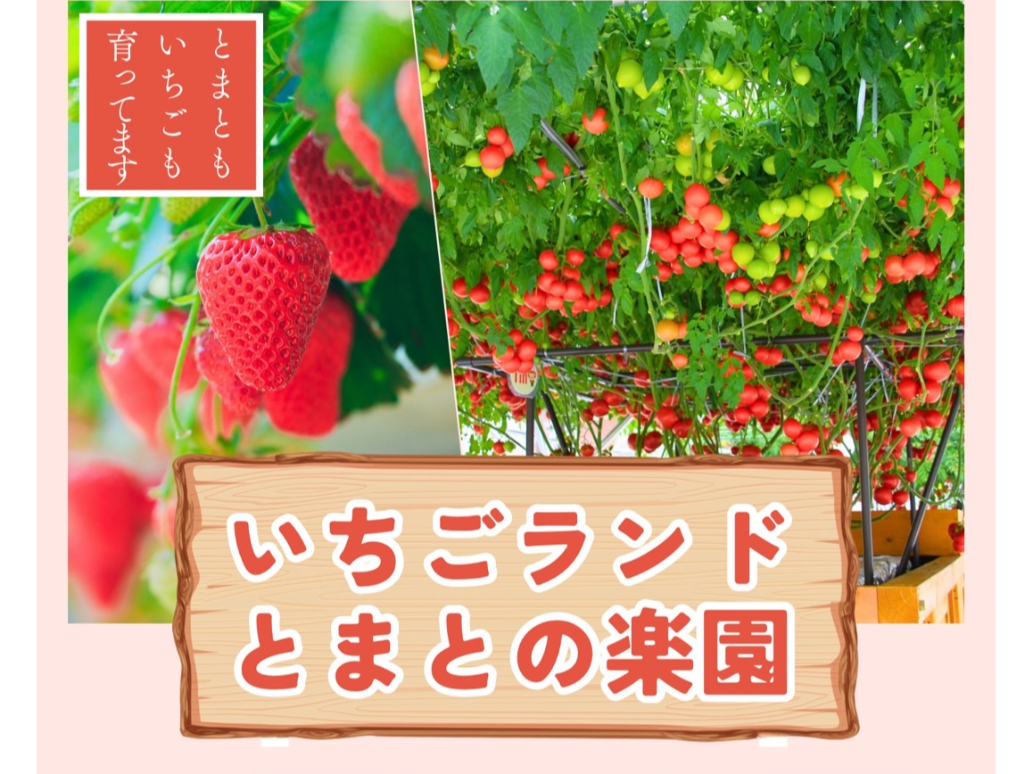 《千葉・南房総》\40分食べ放題!/大人2,400~2.950円(変動制)☆綺麗...