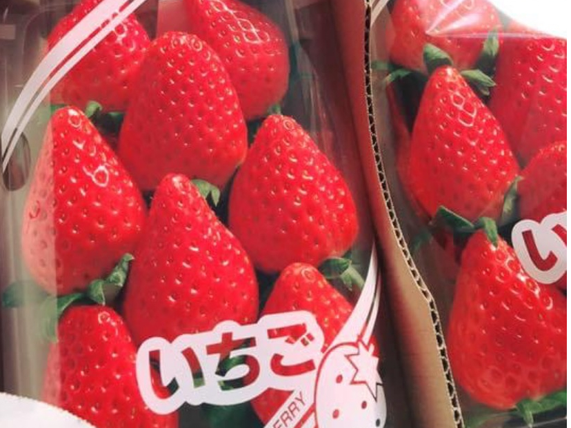 �����ł͂������̒������s���Ă���܂��􂨓y�Y�ɂǂ����I