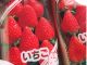 当園ではいちごの直売も行っております♪お土産にどうぞ!