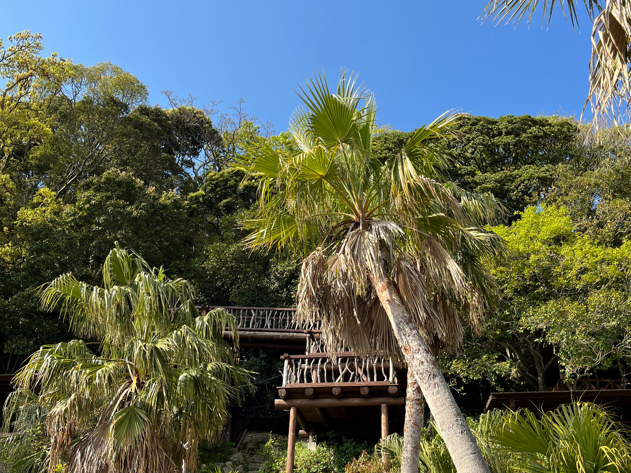 �W�]�f�b�L