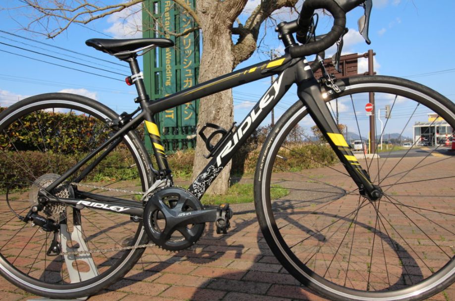 RIDLEY 身長150cm前後