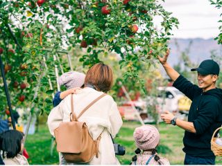 広々とした果樹園へご案内いたします。