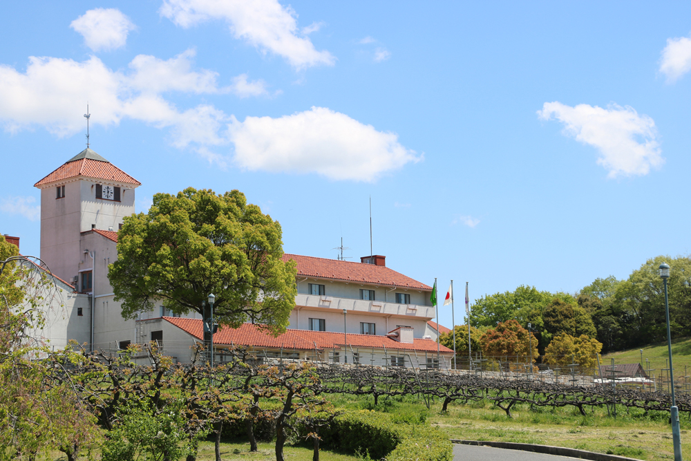 ԏꂩ炷̕ޏBJxl\[BjAĂ܂B