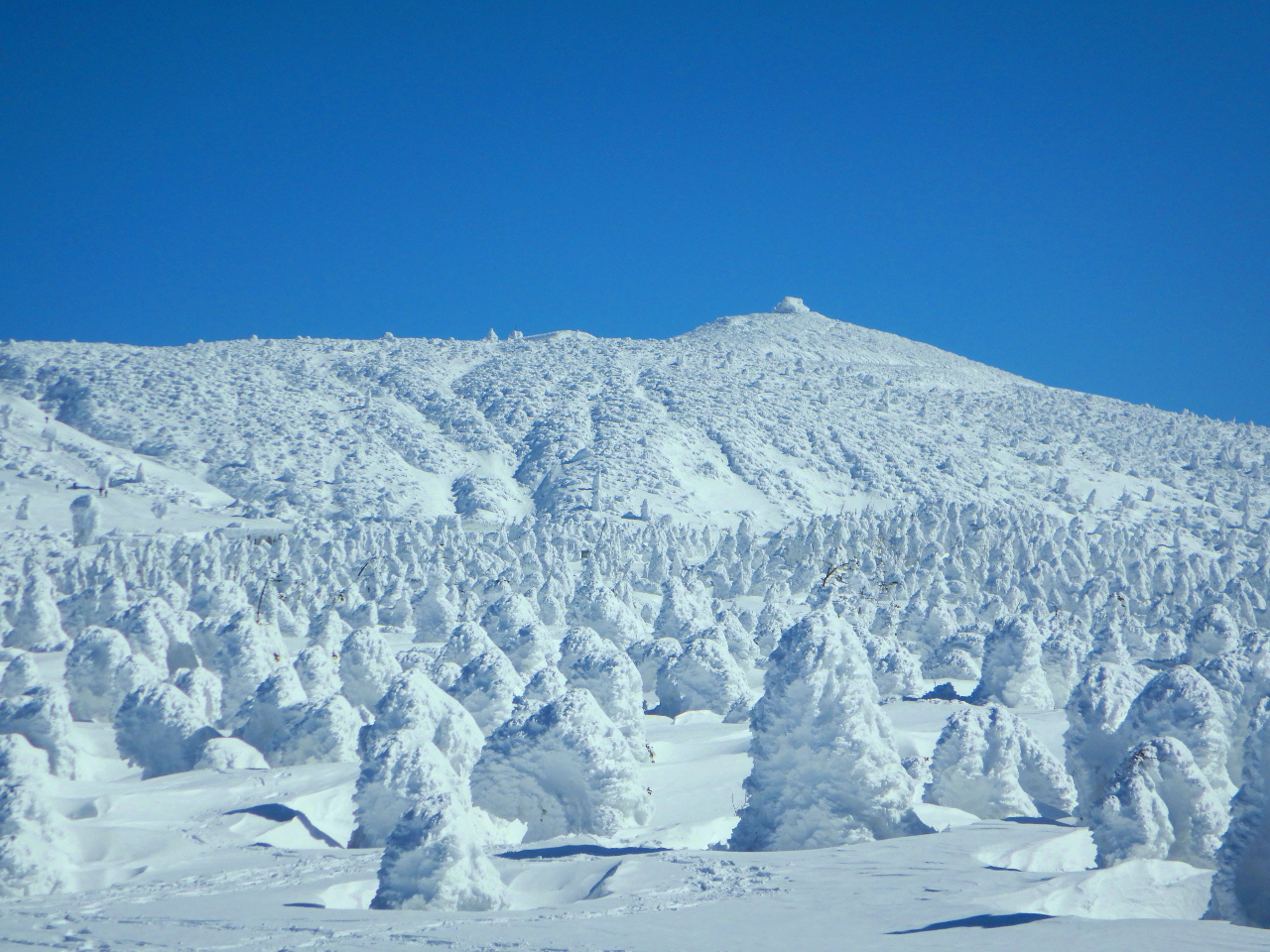 【山形・山形市】樹氷見学スノーシューツアー 多くの人に見てほしいから便利な無料送...
