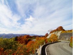 米沢 置賜の遊び 体験スポット じゃらんnet