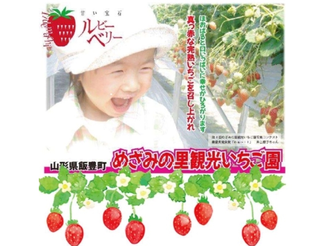 甘い宝石 摘み取り体験!~地元食材をイタリアンで堪能~【いちご狩り+ランチ】~♪...