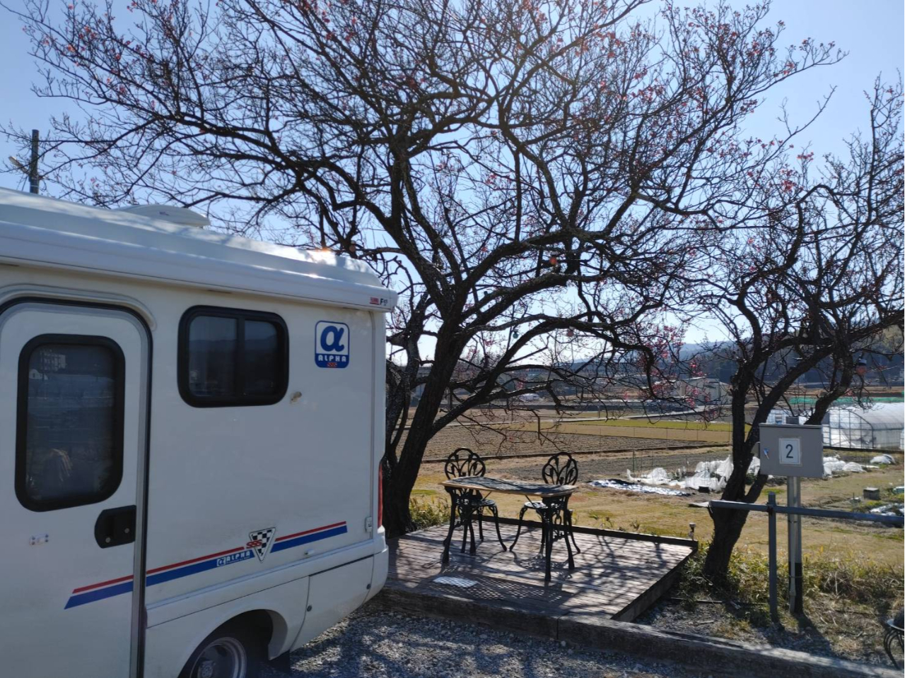 �P�g�l���\��6��܂Œ��ԗ��������B���F�B�ƗU�������Ă�BBQ�͔@���ł��傤���H