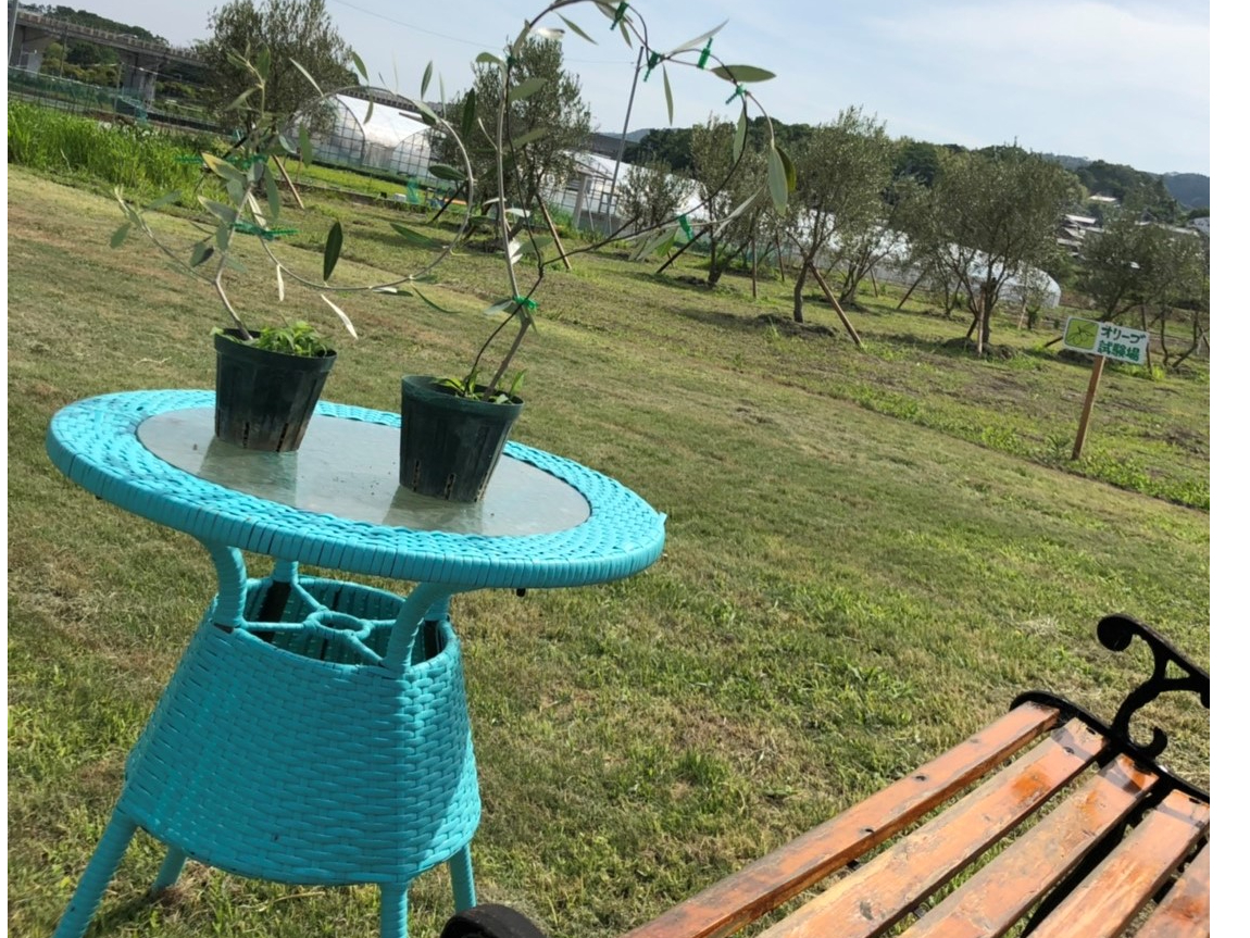 אڂ̃I[uł́An[g̗t}eBbNȃI[u͔|Ă܂B