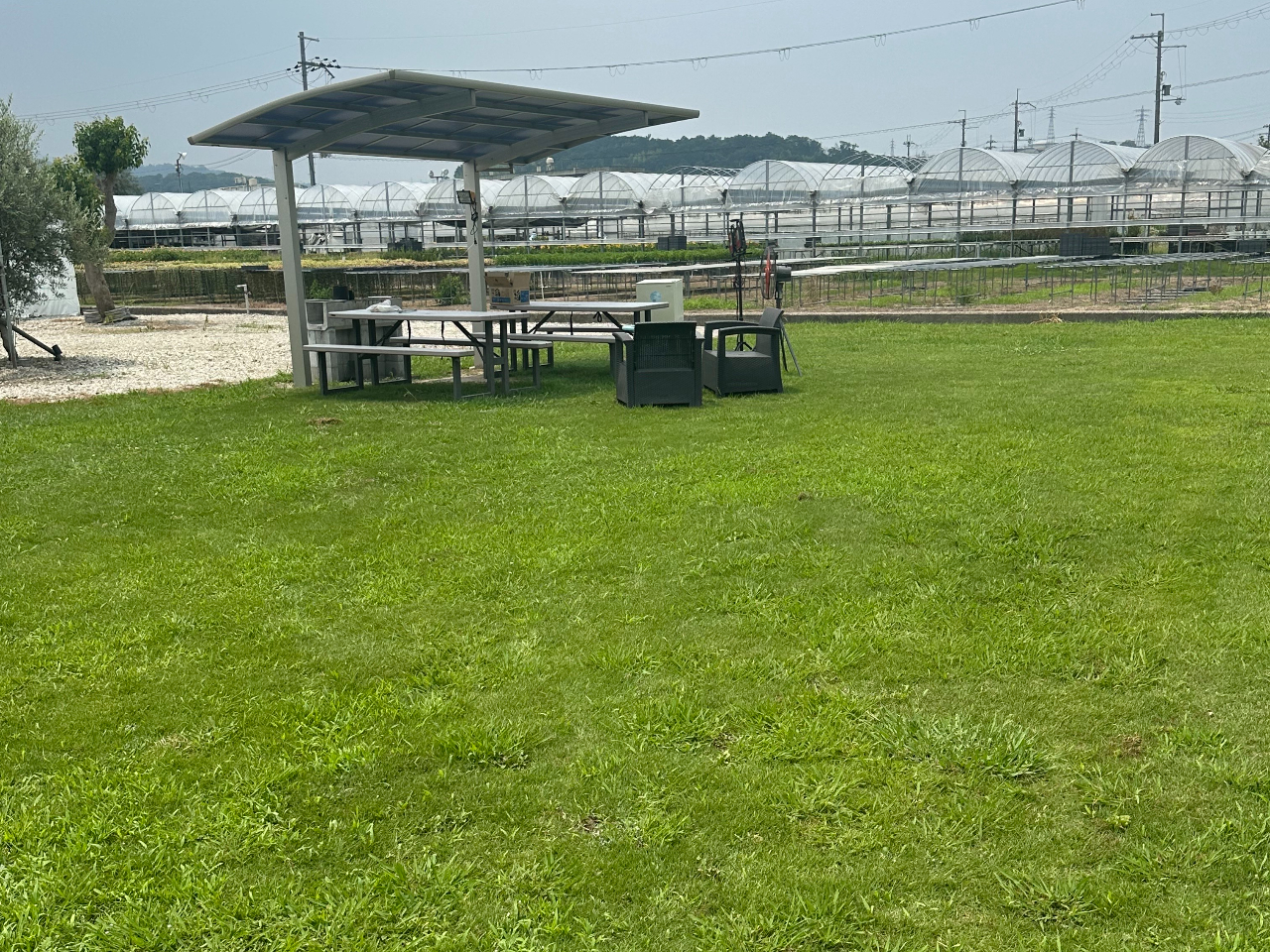 芝生の上に寝そべって広がる空を眺めながらゆったりとBBQを楽しもう!