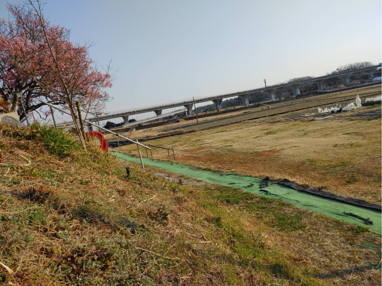 ޓHICI@ʂ̕ւ悭Aɂ̓X[p[ĐHނ̒BȒPBޗǎsł̗nĎyBBQyI