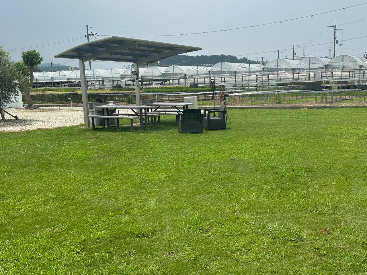 芝生の上に寝そべって広がる空を眺めながらゆったりとBBQを楽しもう!