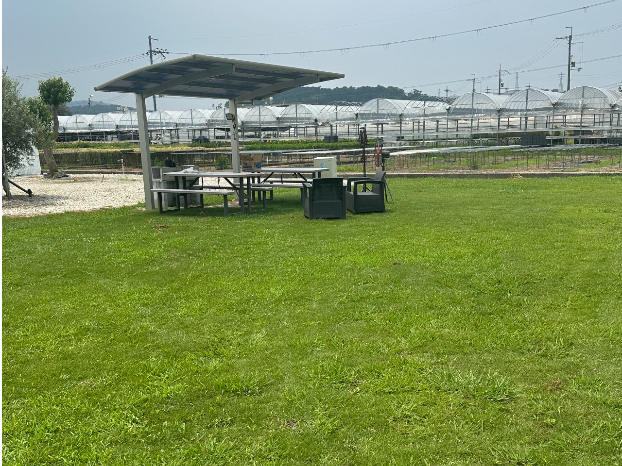 Ő̏ɐQׂčL𒭂߂ȂBBQyI