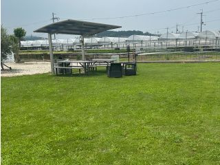 芝生の上に寝そべって広がる空を眺めながらゆったりとBBQを楽しもう!