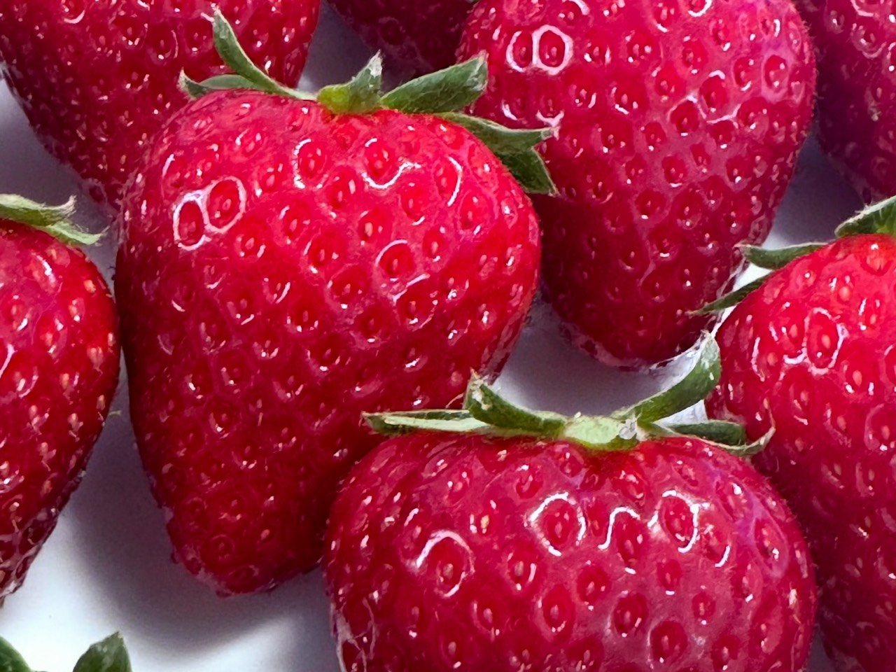 ���x�������Ós�؂����ܖ���������