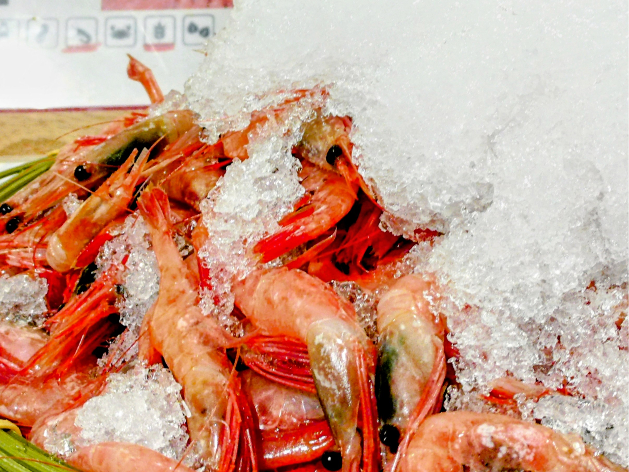 ※お一人様限定プラン※【全67品食べ飲み放題90分】ランチブッフェ♪ライブキッチ...