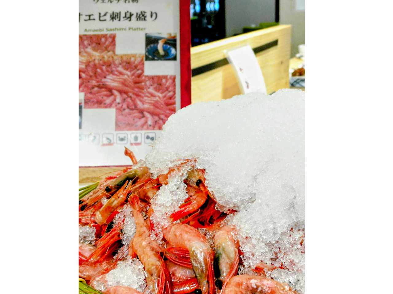 ��l�C�I�I�C�V�̎p���I