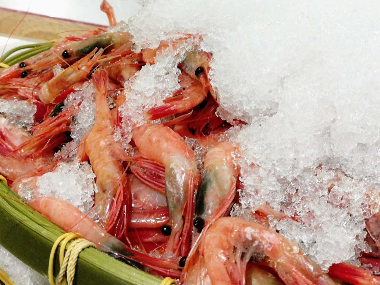 ��l�C�I�I�C�V�̎p���I