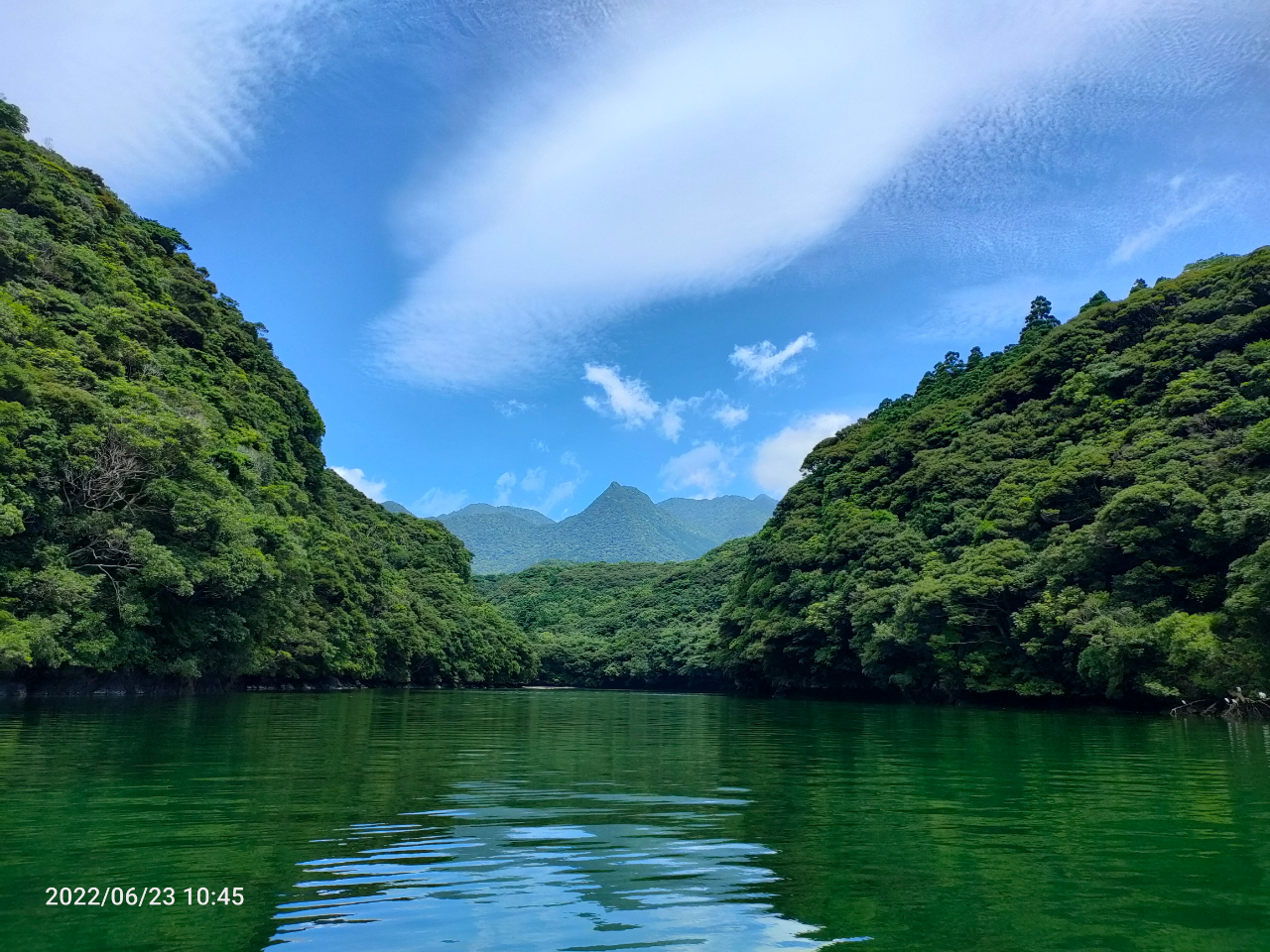 どんどん緑に囲まれていきます。