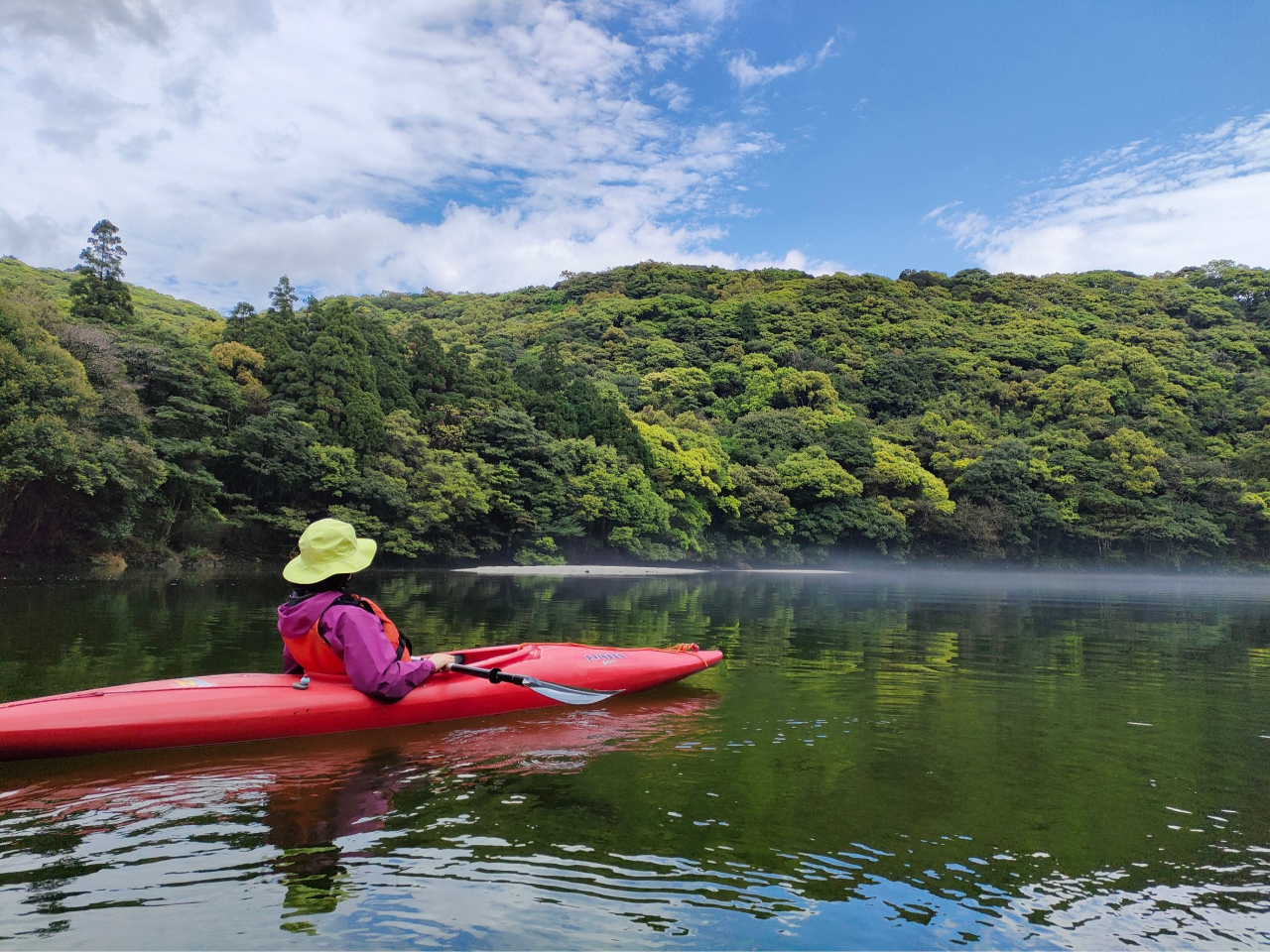 3月&4月は森の新緑が抜群に綺麗です。