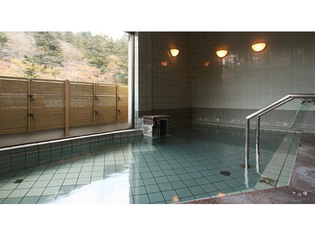 【昼食付!日帰り温泉】水晶山を臨みながらの四万温泉を満喫しよう♪ 希望者にはお部屋をお付けすることも可能です◎ ☆ファミリーやカップルにオススメ☆のプラン詳細