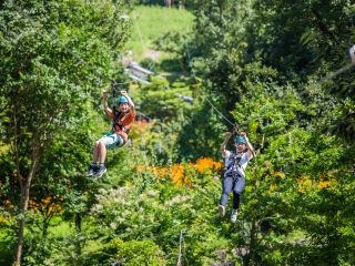 【メガジップ】豊かな木々の上空を一気に滑り降りる大規模ジップライン☆